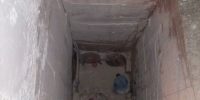 IMG_5051 IMG_5051